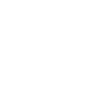 Vision